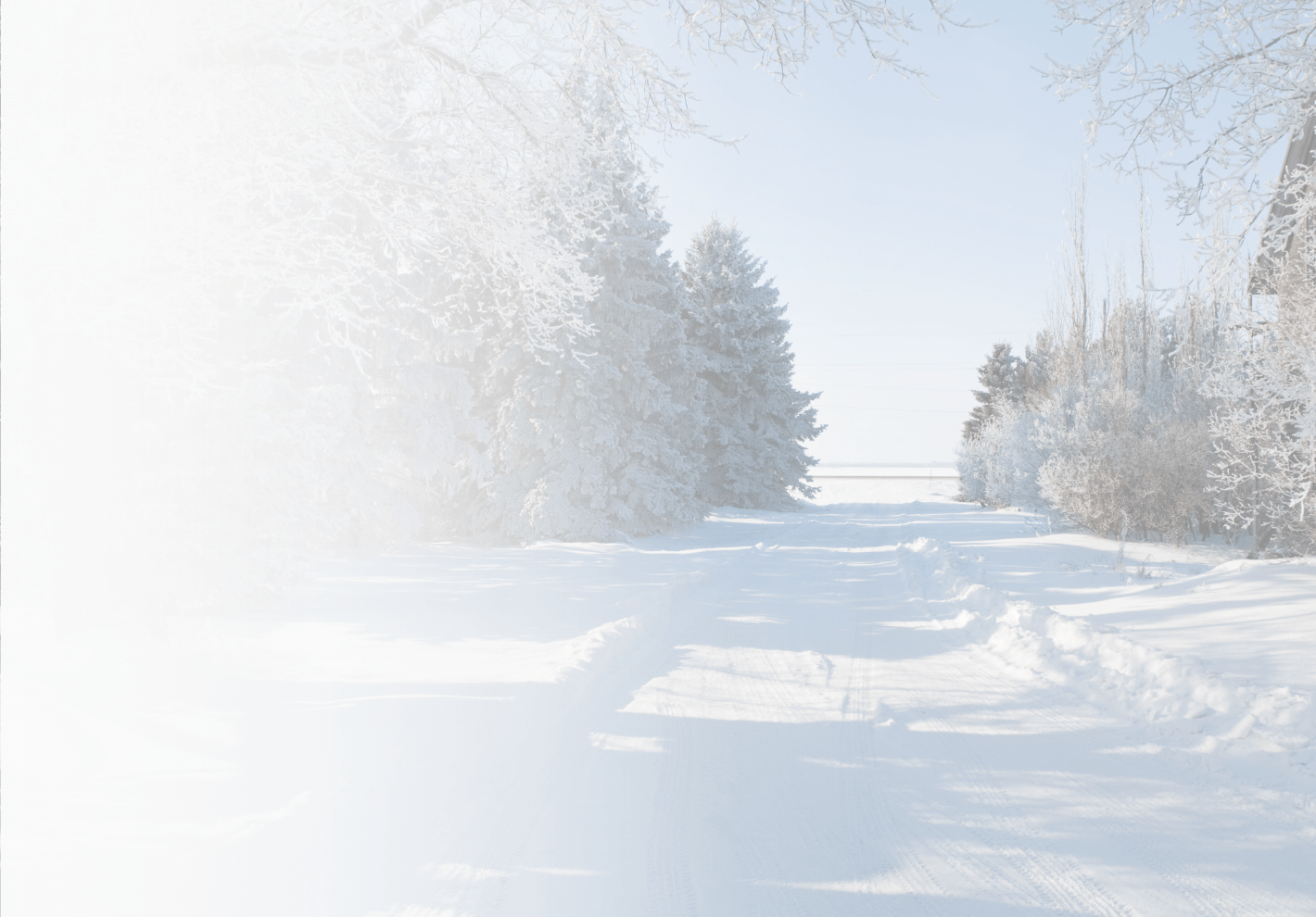 Background-min1.png